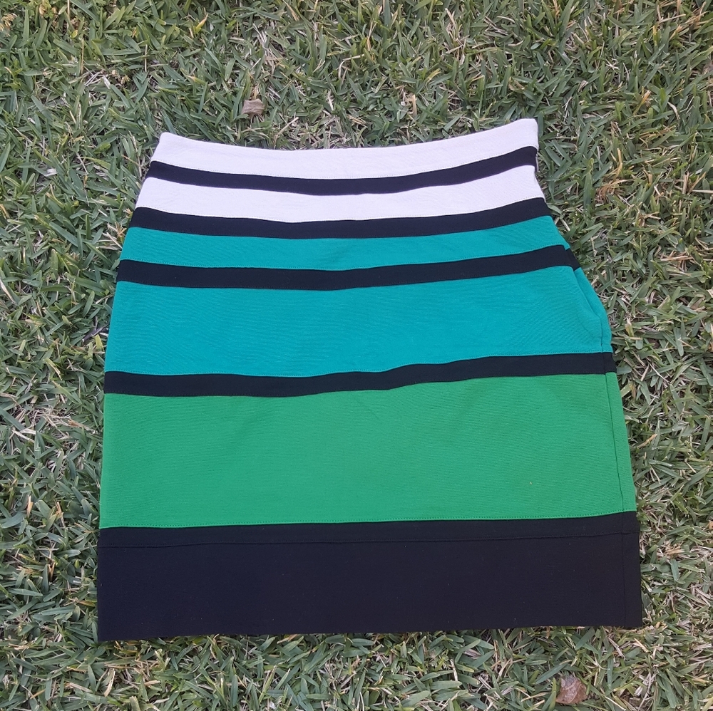 Express Striped Skirt